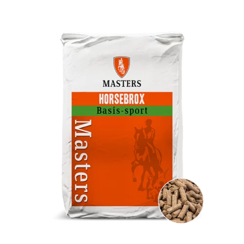 Masters - Basis sport