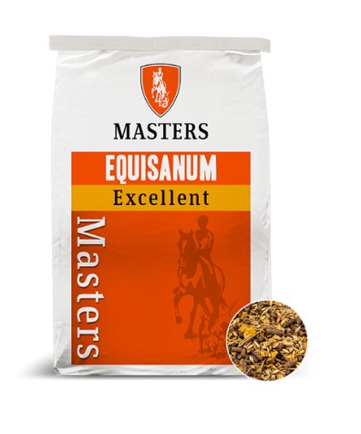 Masters Excellent