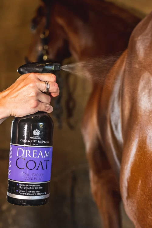 Dream Coat Spray - Bild 3