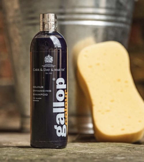Gallop Colour Shampoo - Black - Bild 3