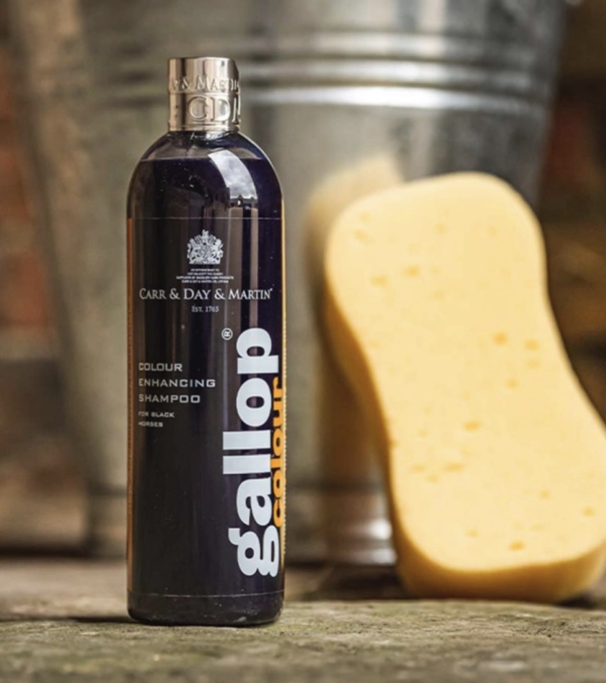 Gallop Colour Shampoo - Black - Bild 3