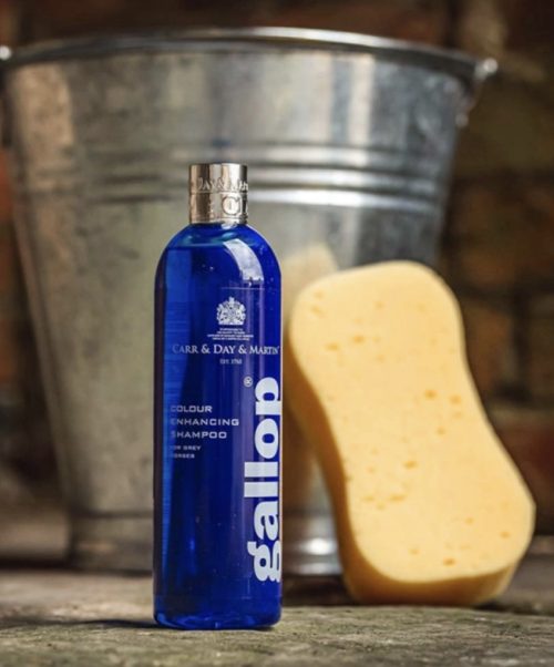 Alternative view of Gallop Colour Shampoo - Grey