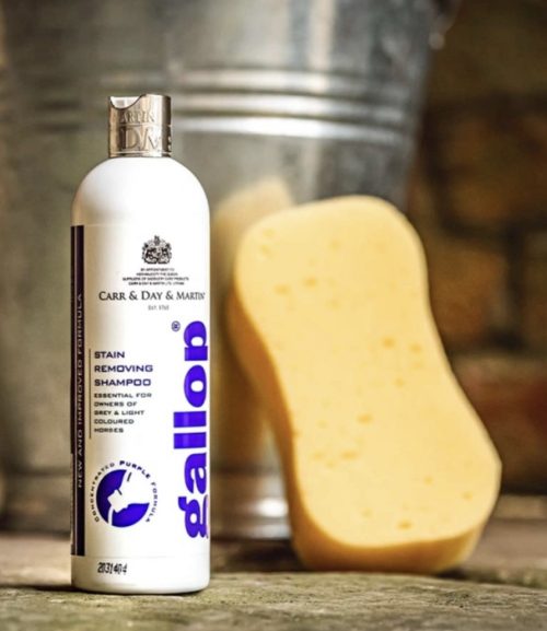 Alternative view of Gallop Stain Removing Shampoo