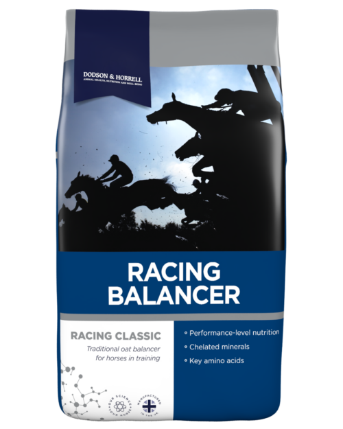Dodson & Horrell Racing Balancer, 20 kg