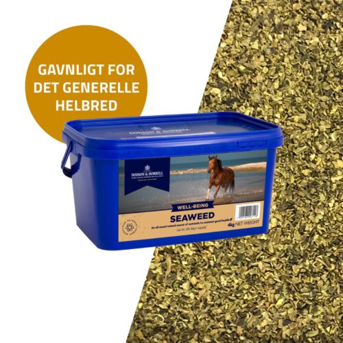 Dodson & Horrell Alger (Seaweed), 2 kg