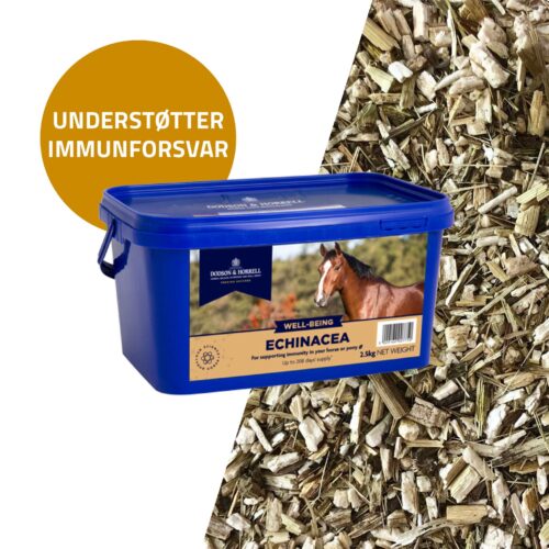 Dodson & Horrell Echinacea, 1 kg