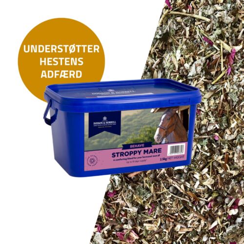 Dodson & Horrell Stroppy Mare Mix, 1 kg