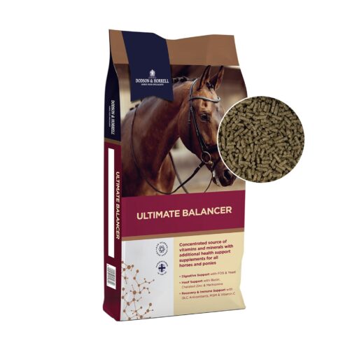 Dodson & Horrell Ultimate Balancer, 20 kg