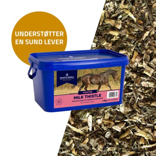 Dodson & Horrell Maria Tistel (Milk Thistle), 500 g