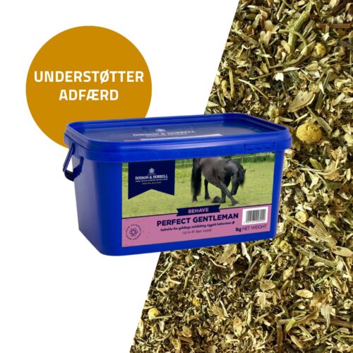 Dodson & Horrell Perfect Gentleman, 1 kg