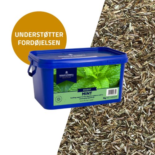 Dodson & Horrell Mynta (Mint), 1 kg