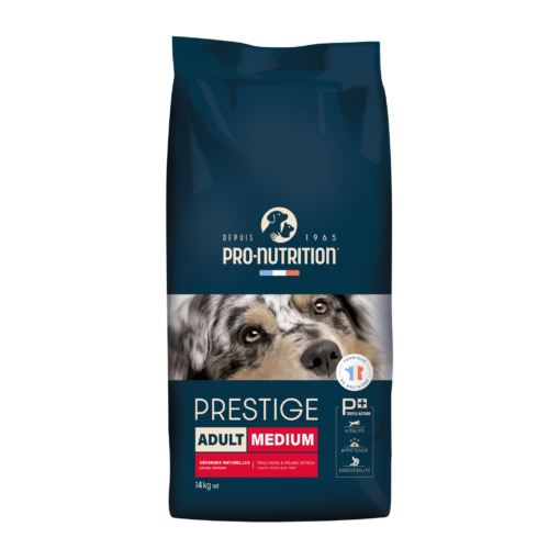 Prestige Adult Medium