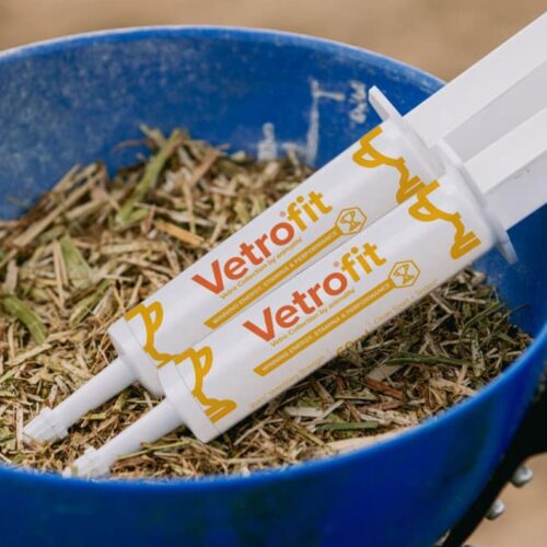 Animalife VetroFit 60 ml
