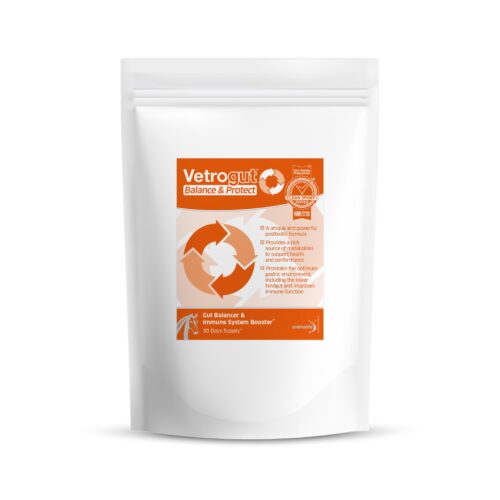 Animalife Vetrogut Balance & Protect 420g